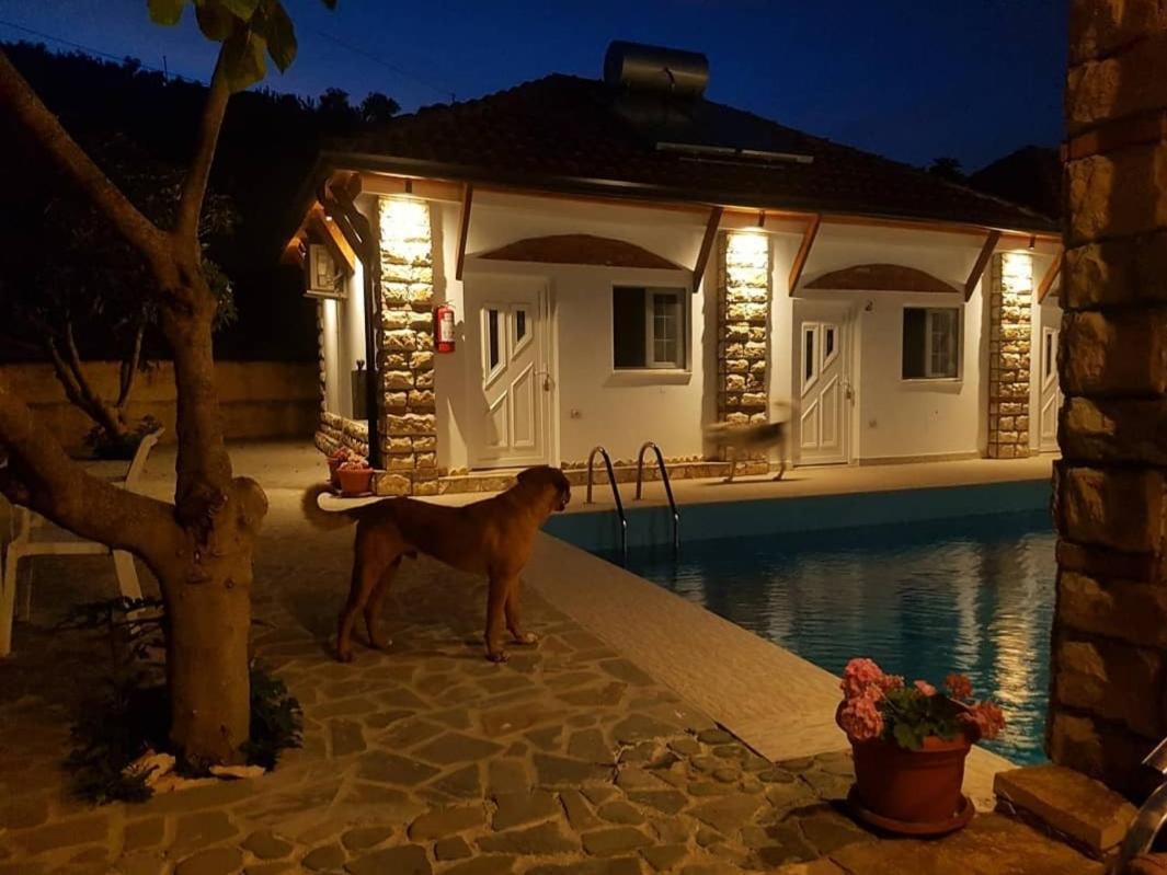 Guesthouse Lord Byron Tepelene Exteriör bild